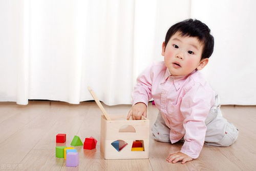 早教价格高,上早教是交智商税吗 满足这几个条件,可以不上